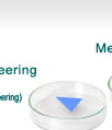 Division of Image Engineering (in cooperative with Faculty of Engineering)