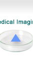 Division of Medical Imaging
