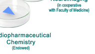 Division of Radiopharmaceutical Chemistry (Endowed)