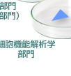 細胞機能解析学部門