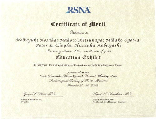 Certificate of Merit kosaka.JPG